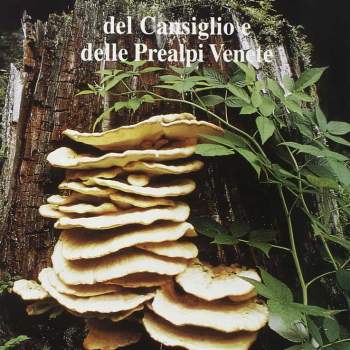 Funghi del Cansiglio e delle Prealpi Venete