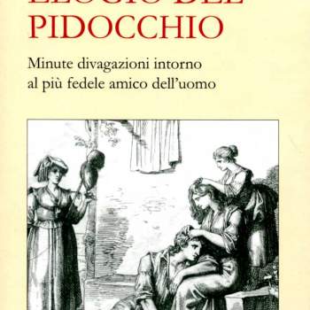 Elogio del pidocchio