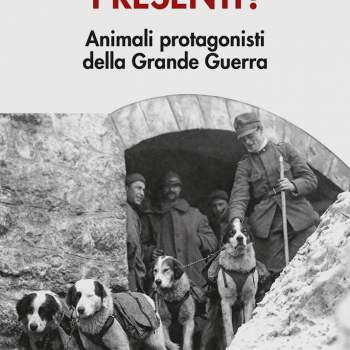 Presenti! Muli e altri animali protagonisti della Grande Guerra