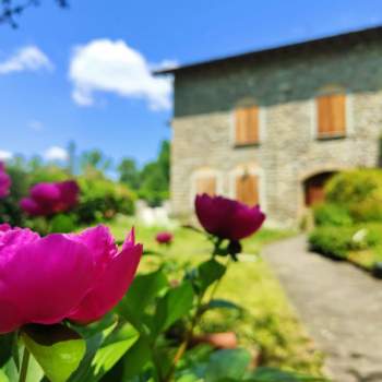 Villa in vendita a Monterenzio (Bologna)