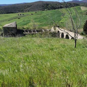 Terreno in vendita a Girifalco (Catanzaro)