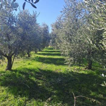 Terreno in vendita a Polpenazze del Garda (Brescia)