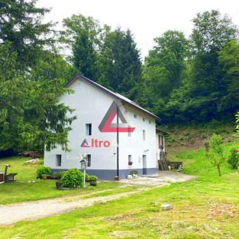 Casa indipendente con giardino a Alpago