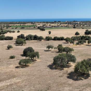 Terreno in vendita a Modica (Ragusa)