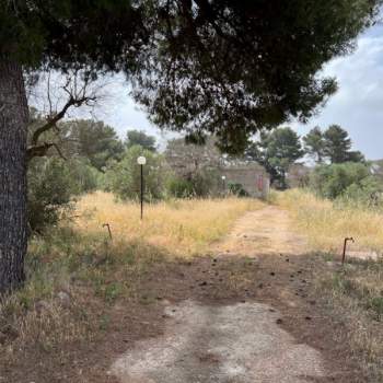 Terreno in vendita a Matino (Lecce)