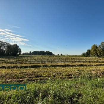 Terreno in vendita a Castelfranco Veneto (Treviso)