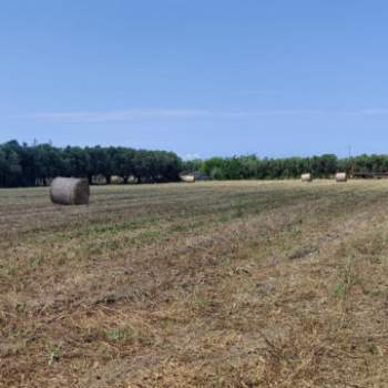 Terreno in vendita a Eboli (Salerno)