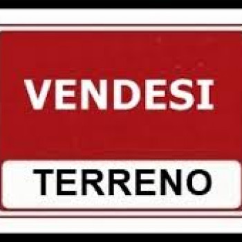 TERRENO EDIFICABILE DI 32.000 VICINANZE SPINEA RIF. TL-25