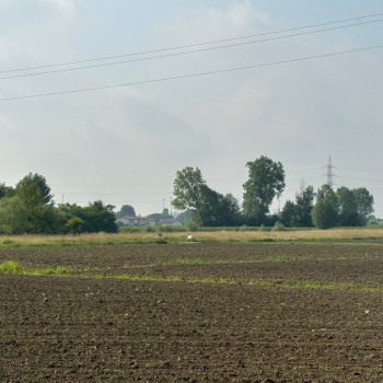 SPINEA lotto di terreno agricolo di forma rettangolare di circa 9000 mq.