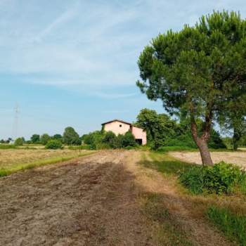 Rustico in vendita a Quinto Vicentino (Vicenza)