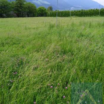 Terreno in vendita a Naturno/Naturns (Bolzano/Bozen)