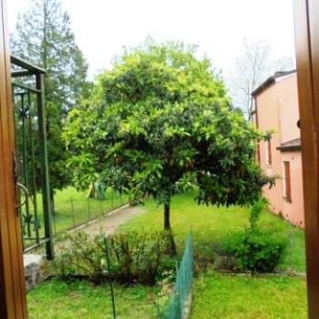 Casa a schiera in vendita a Crespino (Rovigo)