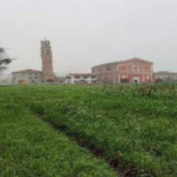 Terreno in vendita a San Martino di Venezze (Rovigo)