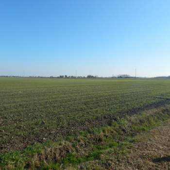 Terreno in vendita a Venezia (Venezia)