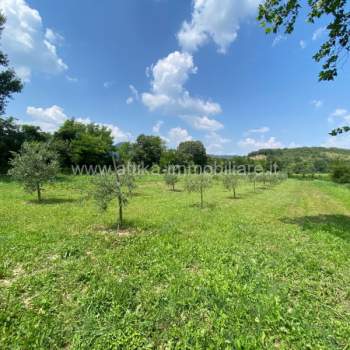 Terreno in vendita a Baone (Padova)