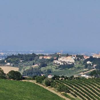 Terreno in vendita a Cesena (Forlì-Cesena)