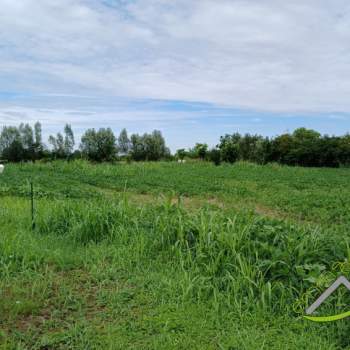 Terreno in vendita a Pianiga (Venezia)