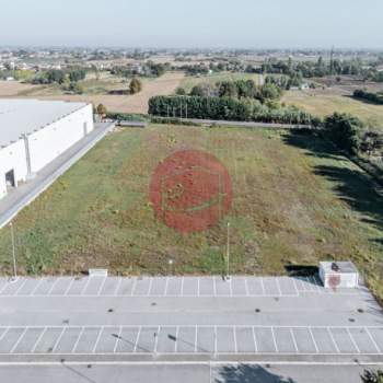 Terreno in vendita a Longiano (Forlì-Cesena)