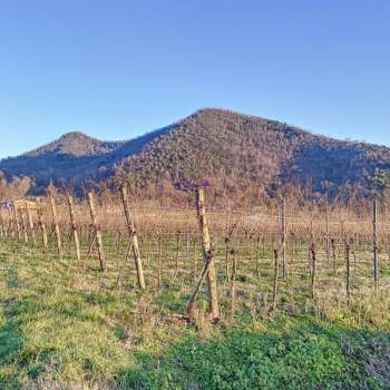 Terreno in vendita a Galzignano Terme (Padova)