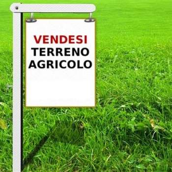 Terreno in vendita a Cervarese Santa Croce (Padova)