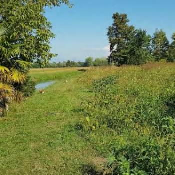 Terreno in vendita a San Biagio di Callalta (Treviso)