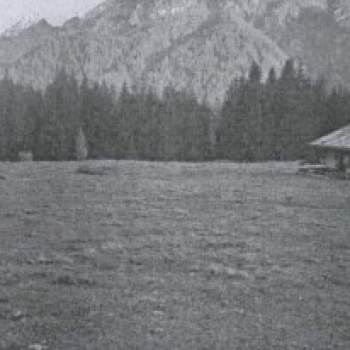 Terreno in vendita a San Pietro di Cadore (Belluno)