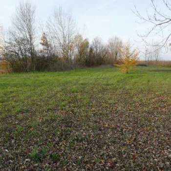 Terreno in vendita a Pramaggiore (Venezia)