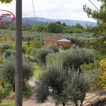 Terreno in vendita a Montevarchi (Arezzo)