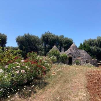 Rustico in vendita a Ostuni (Brindisi)