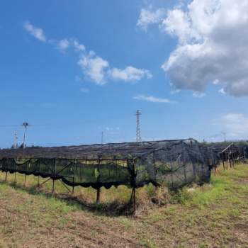 Terreno in vendita a Milazzo (Messina)