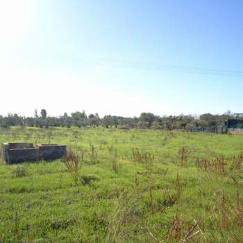 Terreno in vendita a Matino (Lecce)