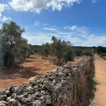 Terreno in vendita a Gallipoli (Lecce)