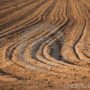 Terreno in vendita a Maserà di Padova (Padova)