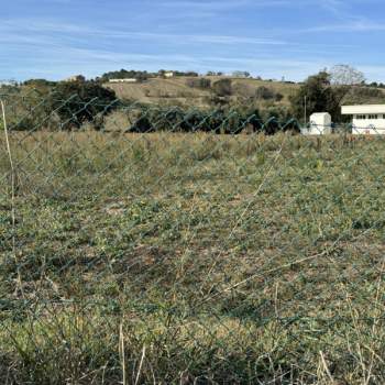 Terreno in vendita a Senigallia (Ancona)