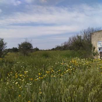 Terreno in vendita a Sannicola (Lecce)