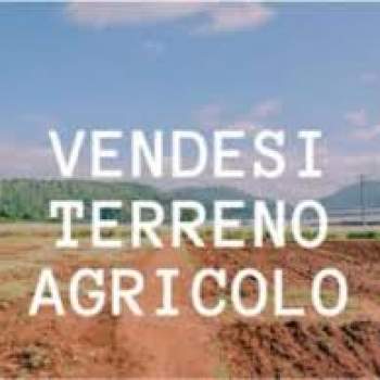 Terreno in vendita a Taglio di Po (Rovigo)