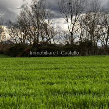 Terreno in vendita a Castiglione del Lago (Perugia)