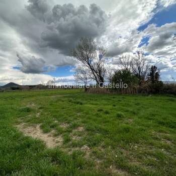 Terreno in vendita a Castiglione del Lago (Perugia)