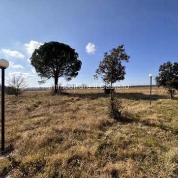 Terreno in vendita a Castiglione del Lago (Perugia)