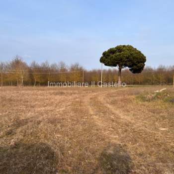 Terreno in vendita a Castiglione del Lago (Perugia)