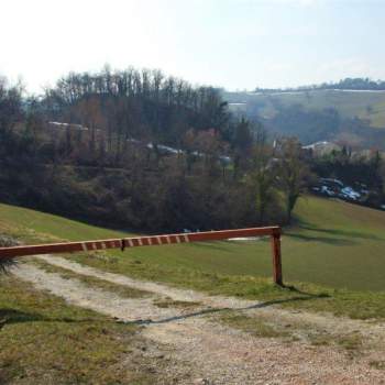 Rustico in vendita a Petriano (Pesaro e Urbino)