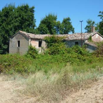 Rustico in vendita a San Costanzo (Pesaro e Urbino)