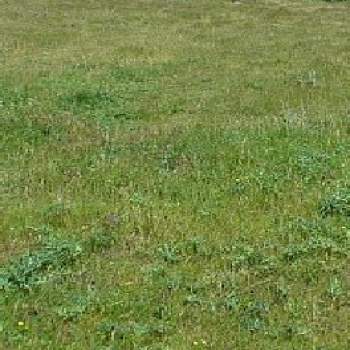 Terreno in vendita a Tavoleto (Pesaro e Urbino)