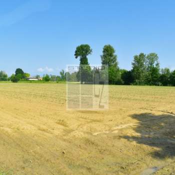 Terreno in vendita a Santa Giustina in Colle (Padova)