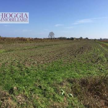 Terreno in vendita a Chioggia (Venezia)