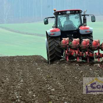 Terreno in vendita a Trecenta (Rovigo)