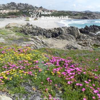 Appartamento in vendita a Santa Teresa Gallura (Sassari)