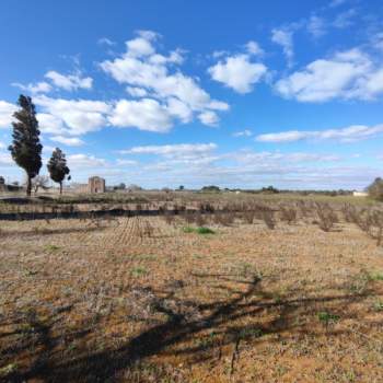 Terreno in vendita a Surano (Lecce)