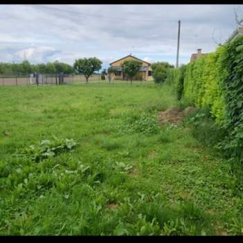 Terreno in vendita a Fossò (Venezia)