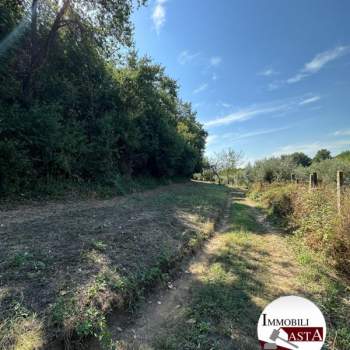 Terreno in vendita a Velletri (Roma)